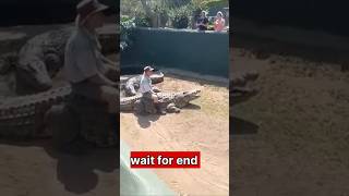 Crocodile Vs Alligator Attack