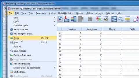 SPSS Video #2: Importing An Excel File Into SPSS
