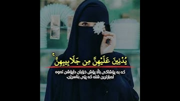 #quran#karim#beautiful#voice#hijab #التلاوة#القاري#الكردي