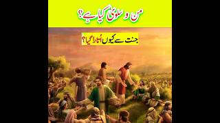 Man O Salwa And Disobedience Of Bani Isreal