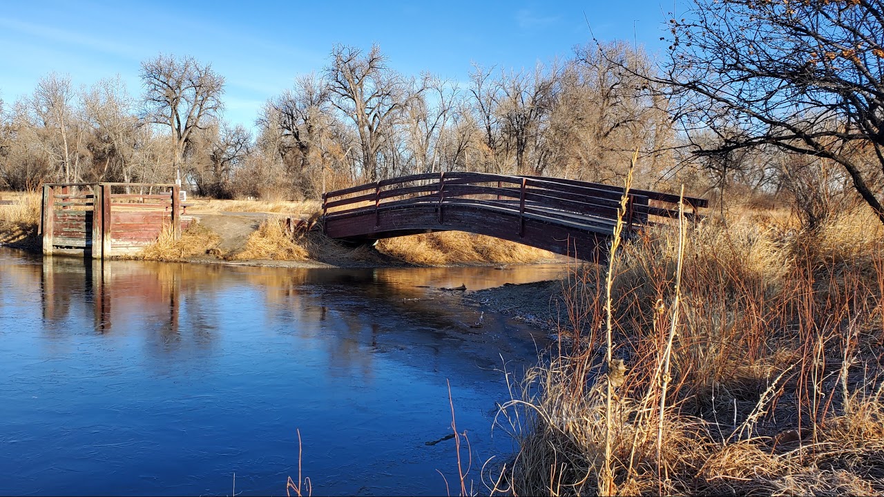 Living in Billings Montana Live Stream YouTube