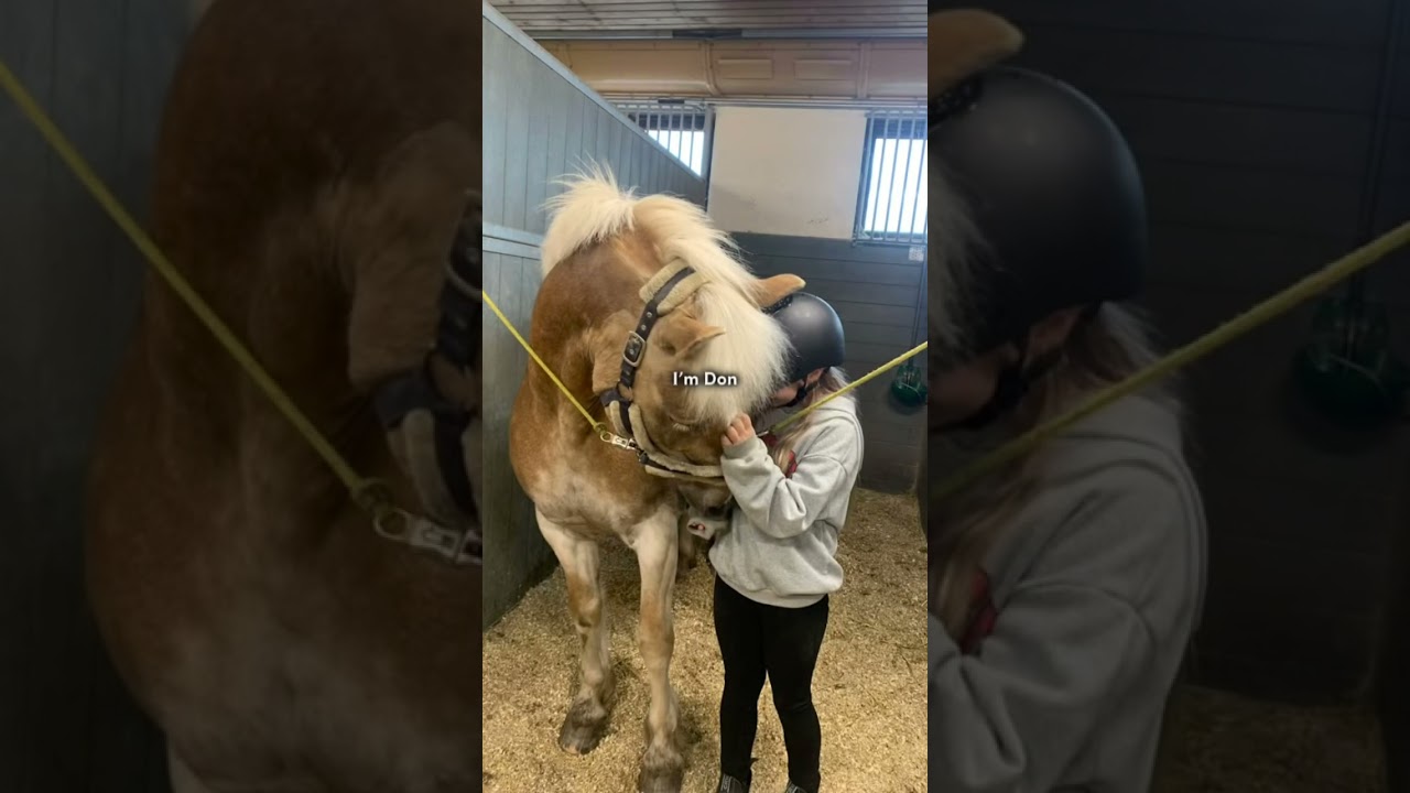 Im don, Im just shortyyyy🤪