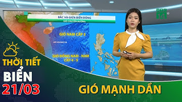 Thời tiết biển ngày 21/03/2023:Bắc và giữa Biển Đông, gió Nam mạnh dần | VTC14