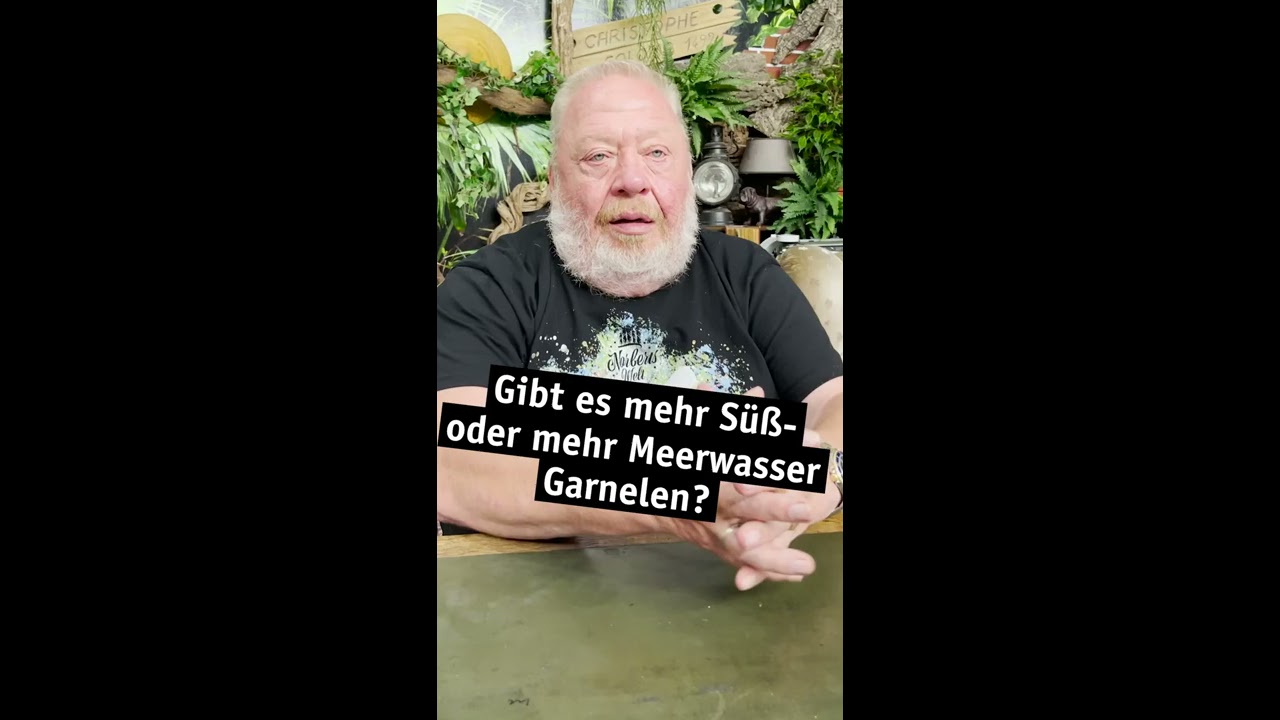 Gibt es mehr Süß- oder mehr Meerwasser-Garnelen? | NORBERTS WELT | Zoo ...
