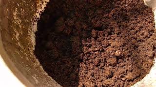 Earth Worm for Composting | Worm Composting