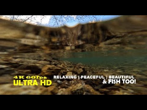 4K MYSTERIOUS MAGIC of an OZARK SPRING FED STREAM - YouTube