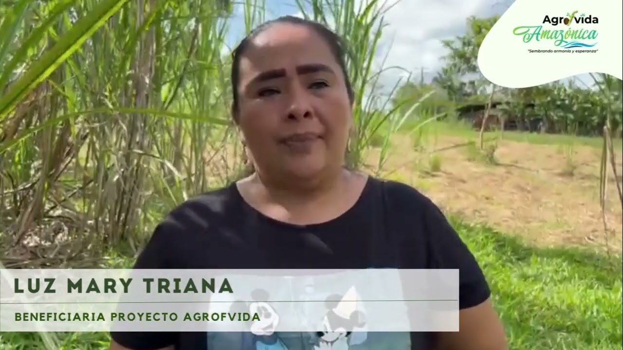 Agrofvida Complejo Panelero YouTube Agrofvida Complejo Panelero YouTube