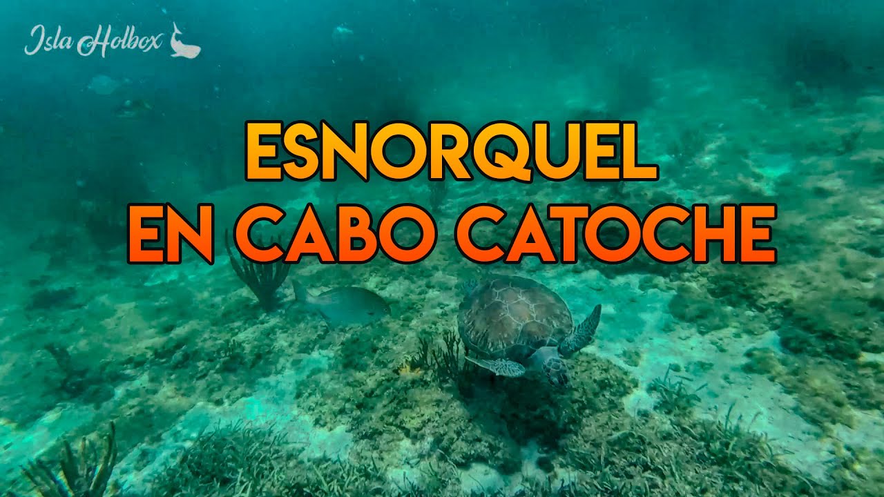 Tour de Esnorquel en Cabo Catoche (Desde Isla Holbox) YouTube
