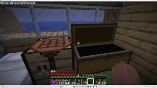 Diamonds! Minecraft Lets Play Episode 2