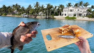 CATCH AND COOK! Multi-Species Fishing - Bonefish, Snook, Jack, Bluefish, and Grunt! by FishAholic Fishing 26,273 views 3 months ago 33 minutes