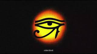 Wrer - Xeemo&Choppaluvsu Official Visualizer