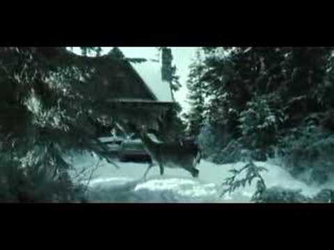 Imagen Trailer