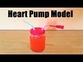 heart working model | blood pumping | science exhibition | best out of waste