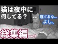 【総集編】飼い主が寝た後も、ついてくる猫さんとの暮らし!まとめの総集編!