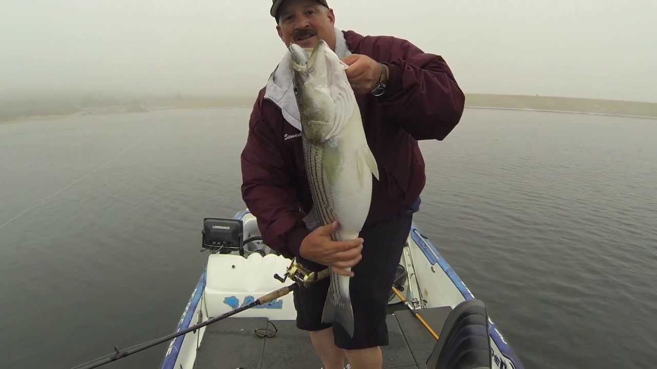 Monster Striper Inhales 8 BBZ-1 Swimbait — Welcome To The BBZ