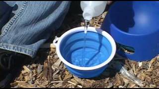 Summer Pet Safety Tips with Pet Safety Lady