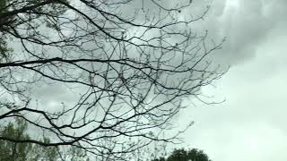 IMG 7685