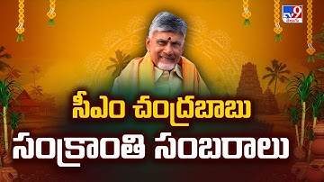 CM Chandrababu Sankranti Celebrations | CM Chandrababu family Sankranti Celebrations In Naravaripalli-TV9