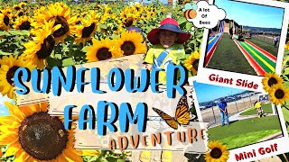 Farm Visit Sunflower farm, #snohomish #farm  #washington #flowers #travel #usa