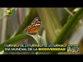 Día Mundial de la Biodiversidad: 22 de mayo de 2021 | Tierra Pastos y Ganado