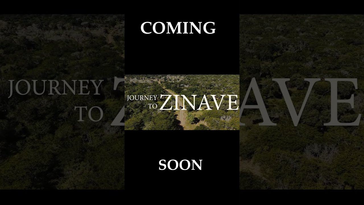 Zinave National Park, Mozambique | Upcoming Episode Trailer | Tusk & Tyre