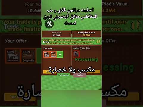 عروضكم كيتسوني ازرق اسندت   