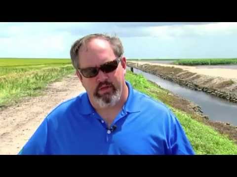 WPTV:  Sugar farmers respond to accusations that the blue-green algae crisis is their fault