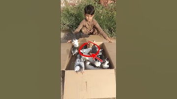 Fancy kabootar ki video || Kabootar video || Pigeon video 🥰#shorts #shortsviral #viral #pigeon