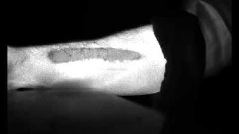 FLIR A35 Alcohol Detected