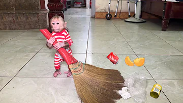 WOW ! Monkey NANA knows how to sweep the floor to help her father