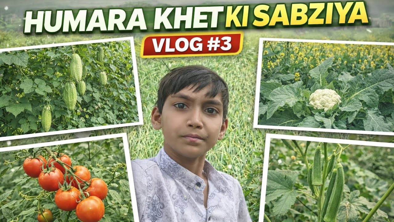 Ye humare khet ki hari hari sabziya