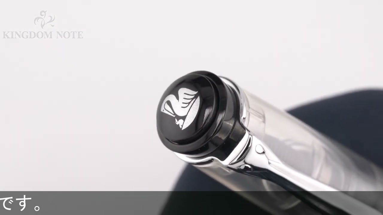 Pelikan ペリカン 万年筆 M205 デモンストレーター EF (2006年限定品