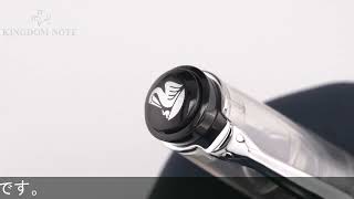 Pelikan ペリカン 万年筆 M205 デモンストレーター EF (2006年限定品