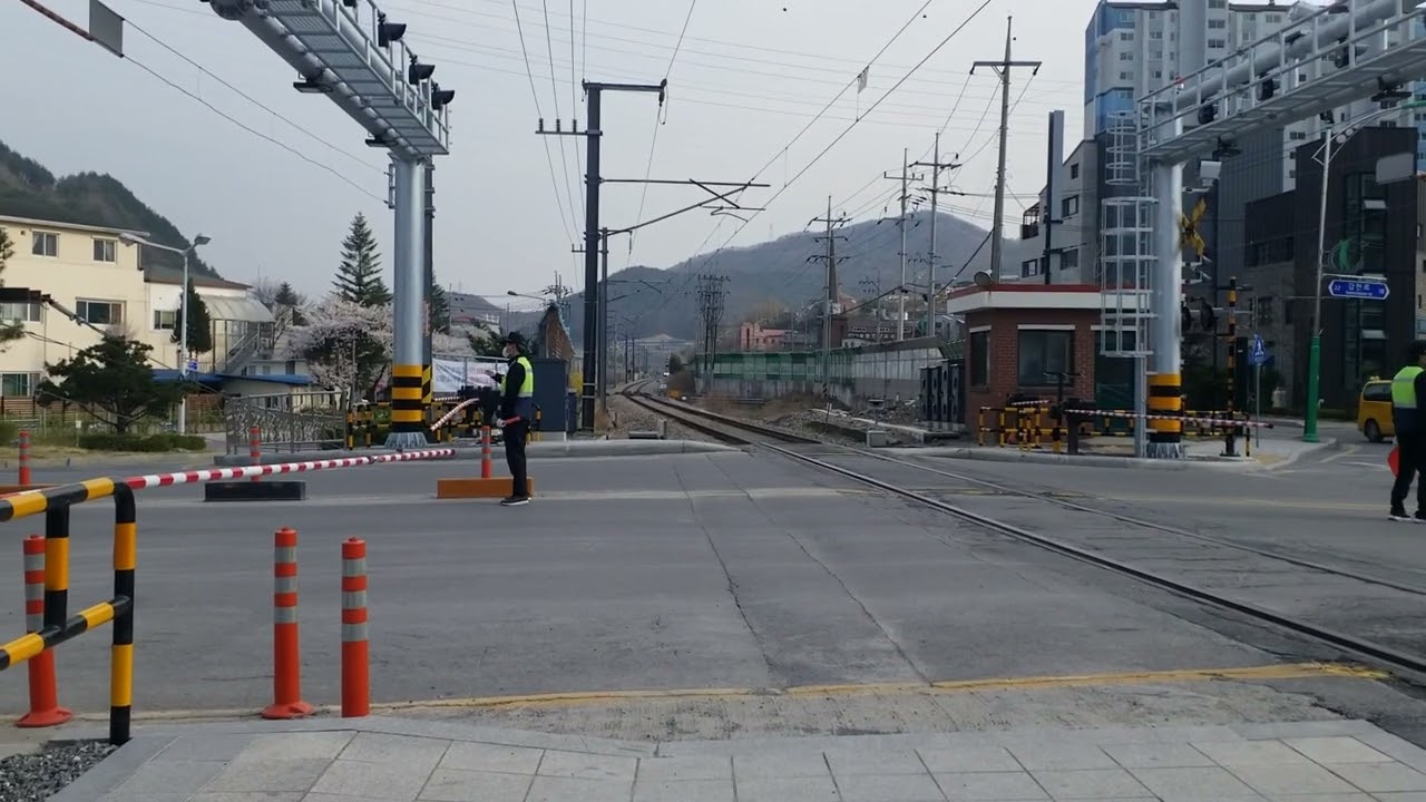 태백시 황지동 문곡2건널목 (스마트 건널목) | 무궁화호 | 8240 |