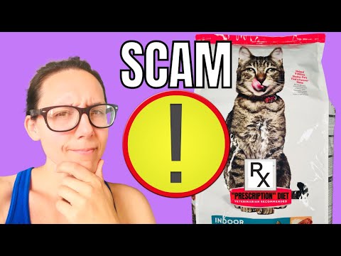 Video:  Kattenvoer: $ 80 (15% korting op recept voor twee van hen)