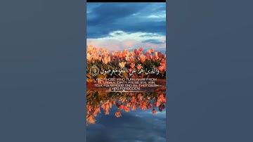 تلاوة هادئة خاشعة تريح القلب والروح 💓🕊