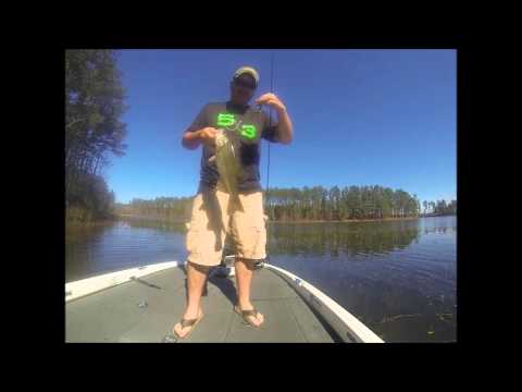 harris lake shearon bass