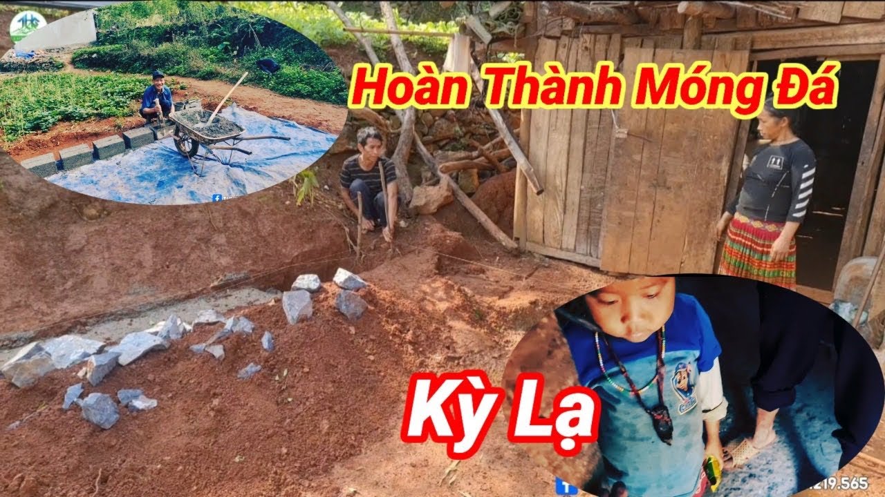 #573 KỲ LẠ TRƯỚC VÒNG ĐEO CỔ ! Gđ A Lúa Đóng Những... - youtube