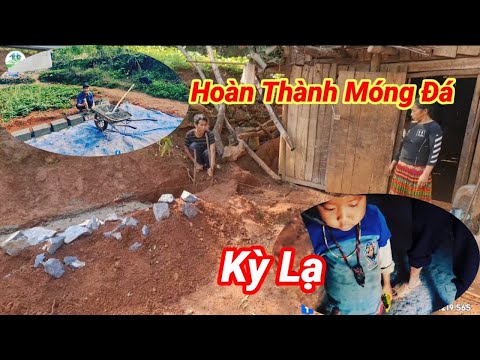 Video #573 KỲ LẠ TRƯỚC VÒNG ĐEO CỔ ! Gđ A Lúa Đóng Những... - youtube
