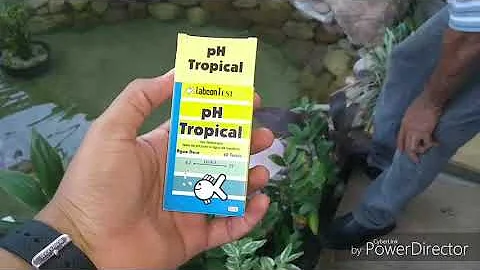 Como medir o pH de um lago?