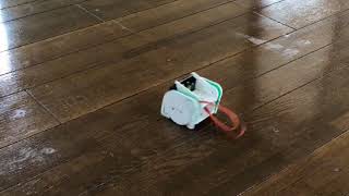 microbit demo