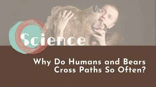 【LIVE互動英語: 20210806】動物科學:為何在路上經常遇到熊?
