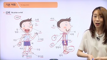 TIẾNG HÀN SƠ CẤP 2 - BÀI 4: Bệnh viện(병원)