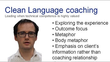 Clean language coaching for leadership in techincal areas