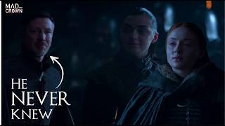 Sansa Stark’s Final Move: The Hidden Strategy Behind the North’s Survival