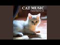 La fille aux cheveux  debussy  cat music  classical piano music  music for cats