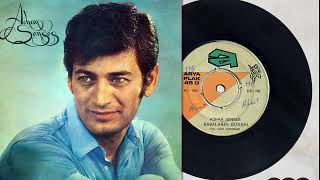 Adnan Şenses - Babaların Günahı (1970) - Plak Kayıt