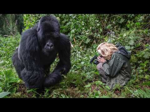 NATIONAL GEOGRAPHIC "AFRICA" By Frank Et Caroline Mulliez