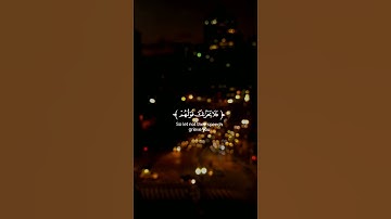 القارئ محمد هشام #quran