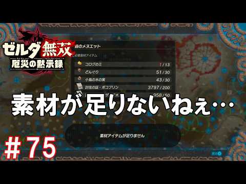 Hyrule Warriors: Age of Calamity #75 - Despite desperately